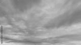 preview bw