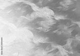 preview bw