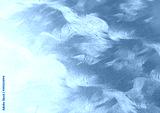 preview cold