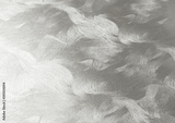preview original