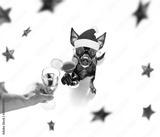 preview bw