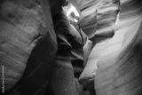 preview bw