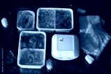 preview cold