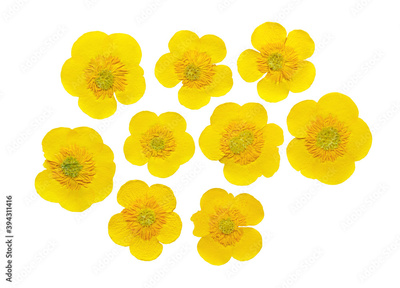 image to crop