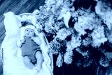 preview cold