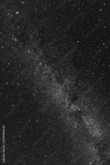 preview bw