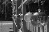 preview bw