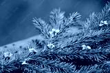 preview cold