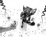 preview bw
