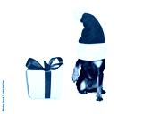 preview cold