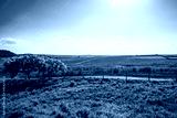 preview cold
