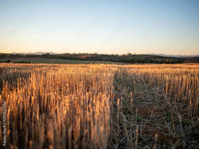 image to crop