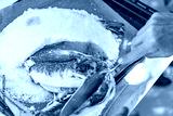 preview cold