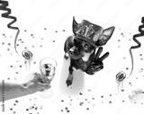 preview bw