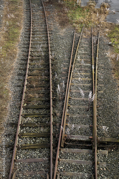 image to crop
