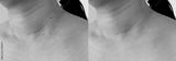 preview bw