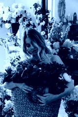 preview cold
