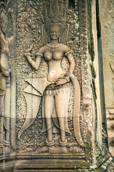 image to crop