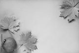 preview bw