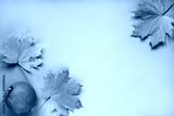 preview cold