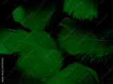 preview original
