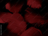 preview original