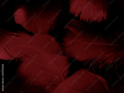 image to crop