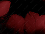 preview original