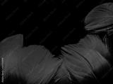 preview bw