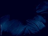 preview cold