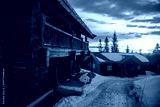 preview cold