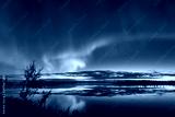 preview cold