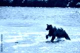 preview cold