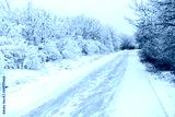 preview cold