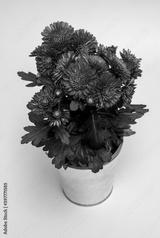 preview bw
