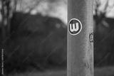 preview bw