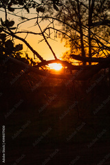 preview original