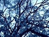 preview cold