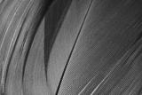 preview bw