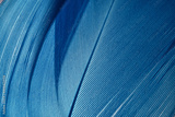 preview original