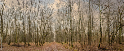 image to crop