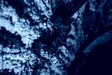preview cold