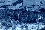 preview cold