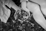 preview bw