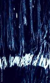 preview cold