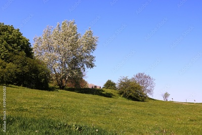 image to crop