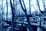 preview cold