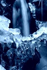 preview cold