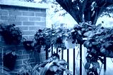 preview cold
