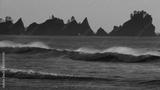 preview bw